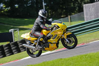 brands-hatch-photographs;brands-no-limits-trackday;cadwell-trackday-photographs;enduro-digital-images;event-digital-images;eventdigitalimages;no-limits-trackdays;peter-wileman-photography;racing-digital-images;trackday-digital-images;trackday-photos